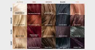 Our L Oreal Paris Feria Hair Color Chart Loreal Hair Color Chart Hair Color Chart Feria Hair Color