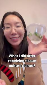 SunnySideUp with Nicole