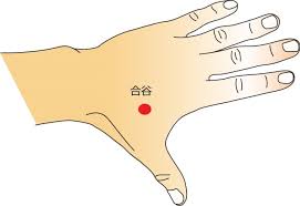 花粉症にも効果的！万能に効くツボ【合谷】 | 沙羅鍼灸院