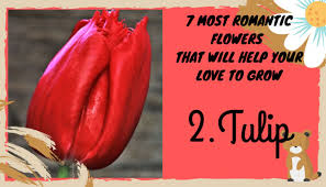 ✓ free for commercial use ✓ high quality images. 7 Most Romantic Flowers That Will Help Your Love To Grow