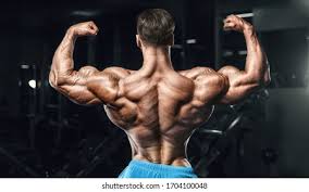 Bodybuilder Handsome Strong Athletic Rough Man Stock Photo Edit Now 1704100048