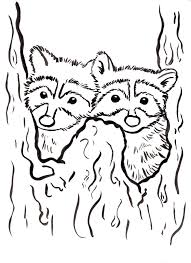 No wonder kids find online coloring pages with raccoon drawings very amusing. Raccoon Coloring Page Art Starts