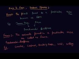Flora Fauna Endemic Species Class 8 Biology Conservation Of Plants And Animals Youtube