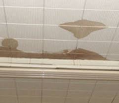 Search for a territory the place the water will leak through those if there may be an and only those roofing that is completely doused or damaged, curtailed it deliberately with an razor blade on an square or. Roof Leaking What Are Your Flat Roof Replacement Options