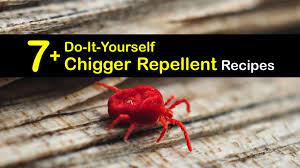 A spray with deet is your best bet to keep off chiggers! 7 Do It Yourself Chigger Repellent Recipes