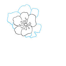 Maybe you would like to learn more about one of these? How To Draw A Peony Really Easy Drawing Tutorial