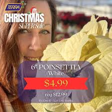 The Christmas SUPER SALE is here at TERRA from Dec 6th