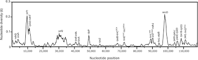 The program recreates unusual supposed deaths, true events, and debunked urban legends, and includes interviews with real medical experts who describe the science behind each death. Frontiers Insights Into Chloroplast Genome Evolution Across Opuntioideae Cactaceae Reveals Robust Yet Sometimes Conflicting Phylogenetic Topologies Plant Science