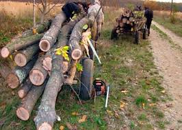 Înlocuim datele problemei în formulă, şi calculăm: Festival Egocentrismul Evadare Din PuÈ™cÄƒrie Metru Cub De Apa Craiova Mohba Org