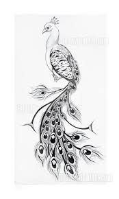 We did not find results for: Pencil Beautiful Feather Pencil Drawing Of Peacock Novocom Top