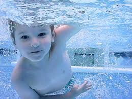 Lost dog in Savannah Quarters found and returned home