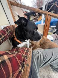 Looking for recommendations