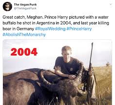 images?q=tbn:ANd9GcSZyEpgLls-yHNNNxV2DTSRUYmxKWwIuA3acQ&s