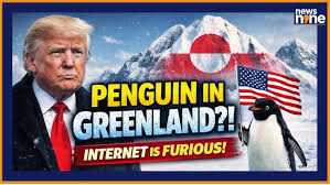 Trump’s Penguin Meme On Greenland Sparks Global Trolls | White House AI  Post Explained
