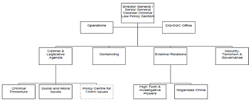 2 profile of the criminal law policy section criminal law