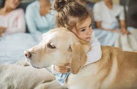 Belly achin / dog daze. The Most Popular Dog Breed In Your State Slideshow The Active Times