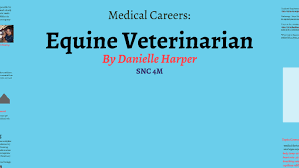 Equine Veterinarian By Danielle Harper On Prezi