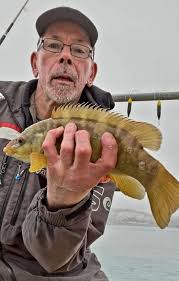 Dover Sea Angling added a new photo.