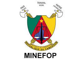 Et ce, samedi 22 mai 2021. Bourses De Formation 2019 Minefop Comment Postuler Conseils Astuces Pour Reussir Sa Candidature