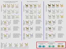 Colour And Pattern Charts Cats Pinterest Cat Colors