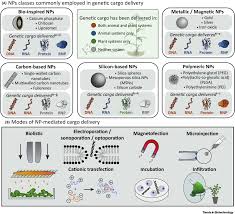 We did not find results for: Nanoparticle Mediated Delivery Towards Advancing Plant Genetic Engineering Trends In Biotechnology