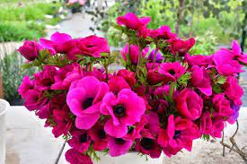 Freude ist die einfachste form der dankbarkeit. Blumen Und Ihre Bedeutungen Dafur Steht Jede Pflanze