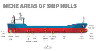 However, the effect can be negligible when bilge keels are positioned at ship bottom. Niche Areas Of Ship Hulls Ankron Water Services
