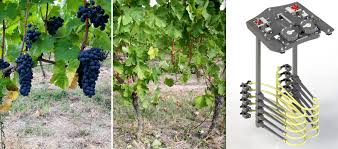 Tete De Recolte Sur Porteur Multifonction Pellenc Agriculture Specialisee Chili