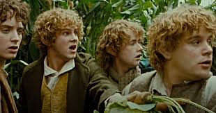 The Lord of the Rings Explained