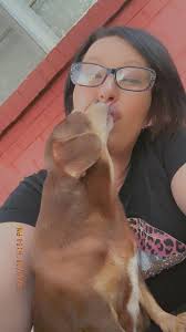 Managing Cushings Disease in Dogs with Vetoryl and Insulin