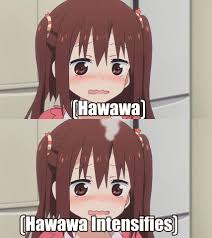 jp - Otaku Culture - 16822332