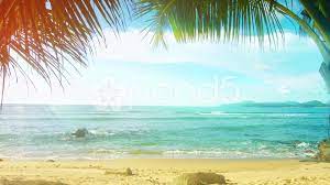Thailand Phuket Island Sunny Beach With Palm Trees Without People Stock Footage Sunny Beach Island Thailand Phuket Sunny Beach Phuket Travel