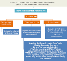 Adjuvant Chemotherapy For Her2 Negative Early Stage Breast Cancer Springerlink