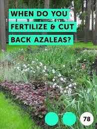 Pin On Yard Maintenance