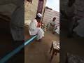 جديد المبدع ود محمد نايل رونق الحنونه mp3. ÙˆØ¯Ø§Ù„Ø¨Ù„Ù‡ Ø§Ø­Ù„ÙŠ Ø¬Ù„Ø³Ù‡ Mp3