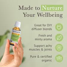 Image result for Peppermint Oil