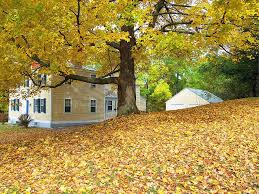 Image result for Springfield Irving Springfield VT