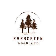 Apr 15, 2021 · spruce is a type of pine, a wood known for its affordable durability. Rustic Retro Vintage Woodland Evergreen Pines Spruce Cedar Trees Logo Design Premium Vector Stock Vector Illustration Of Drawing Black 174061223