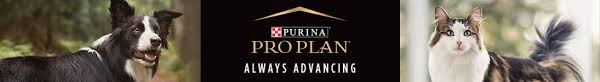 Share some puppy love on #nationalrescuedogday. Purina Pro Plan Dog Cat Food Same Day Delivery