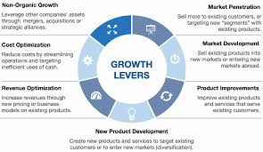 Performers grow by steadily optimizing commercial functions and operations. Growth Strategy Explained Pdf Book Included Strategy For Executives