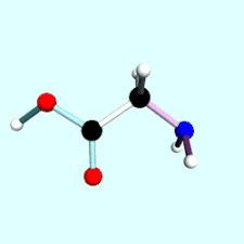 Image result for Glycine