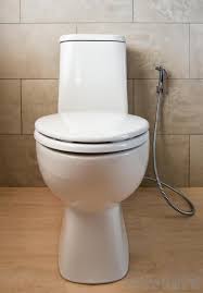 We did not find results for: How Do I Choose The Best Bidet Faucet With Pictures