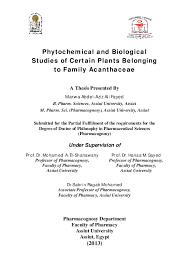 Image result for Anisotes sessiliflorus