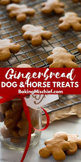 Easy Gingerbread Treats For Dogs And Horses Pet Treats Recipes Horse Cookies Recipes Dog Cookie Recipes