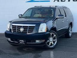 Image result for Blue Vela 2008 147