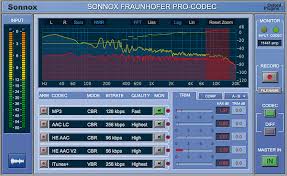 The codec pack contains a plugin for decoding h.264 mvc 3d video. Fraunhofer Pro Codec Audition Codecs In Real Time Sonnox