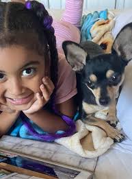 Before and after photos from today's walk, so glad we changed into a  waterproof collar 😂😂