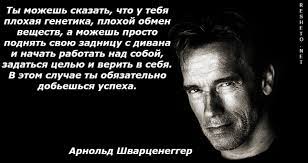 Личный опыт, познавательные статьи, забавные фото и видео. Luchshaya Motivaciya K Sportu Citaty Tajsona Shvarceneggera I Drugih Sportsmenov
