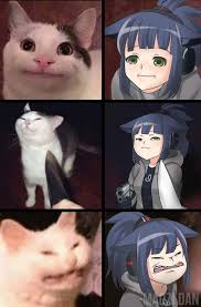 Jessica The Cat Meme 0sanitymemes Anime Funny Kawaii Anime Otaku Anime