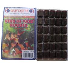 Vers De Vase Rouge 100gr La Plaque